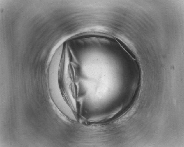 X0000058830816200510211953