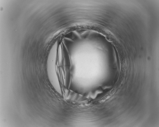 X0000058830822200510211952