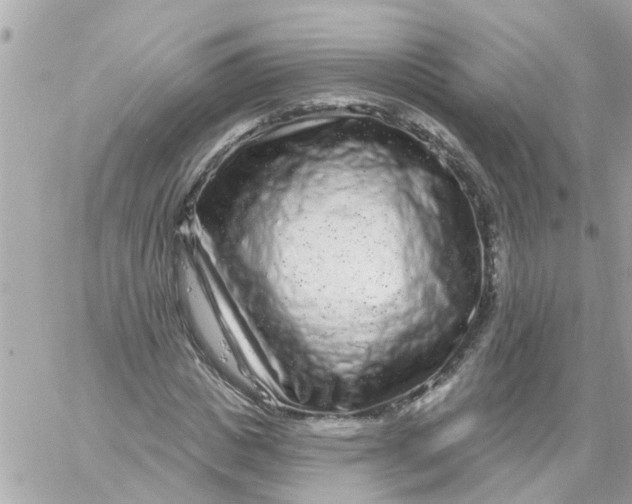X0000058830825200510211952
