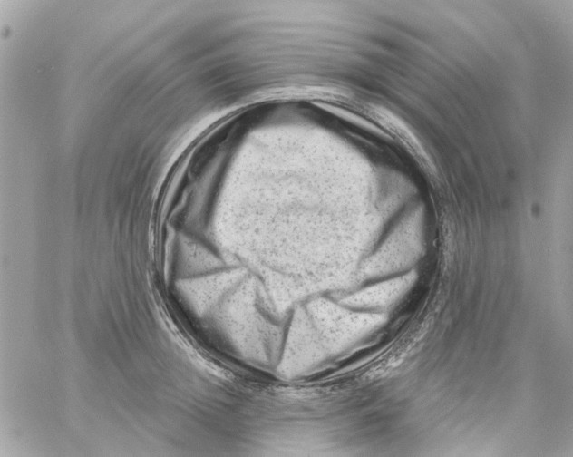 X0000058830852200510211953