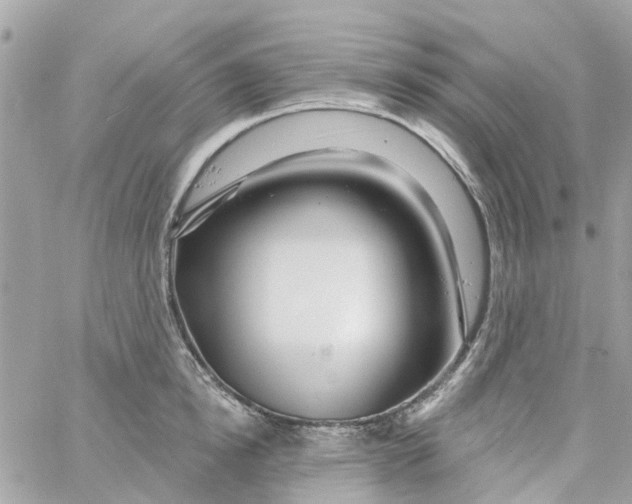 X0000058830854200510211953