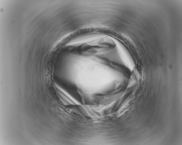 X0000058830872200510211952