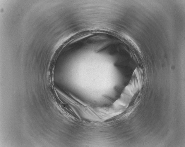 X0000058830876200510211952