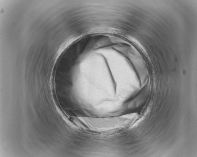 X0000058830893200510211952