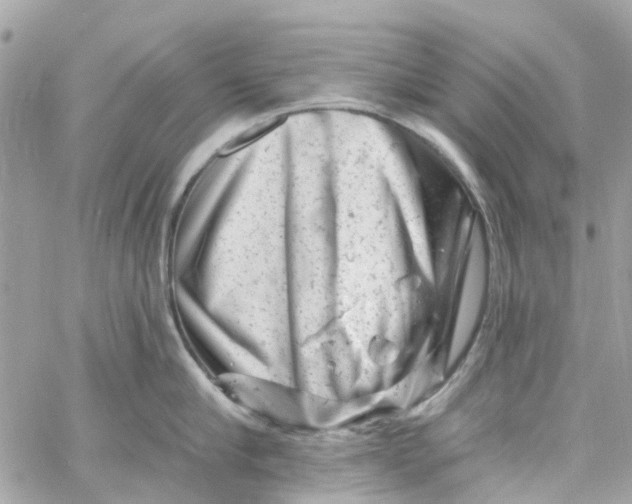 X0000058830910200510211951