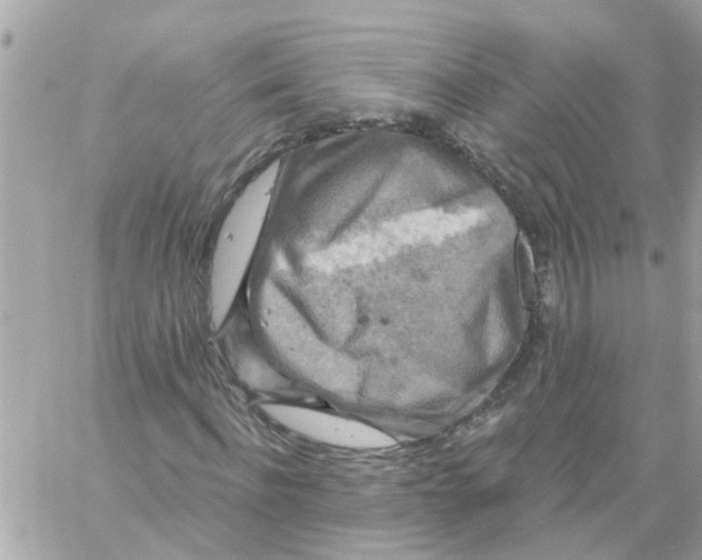 X0000058830916200510211951