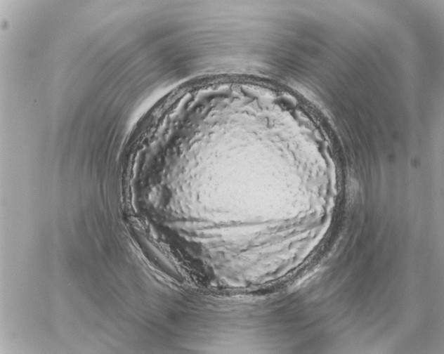 X0000058830925200510211951