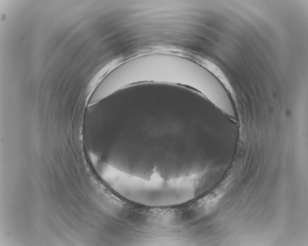 X0000058830954200510211951