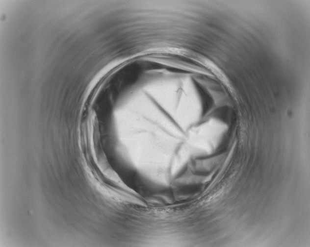 X0000058830955200510211951