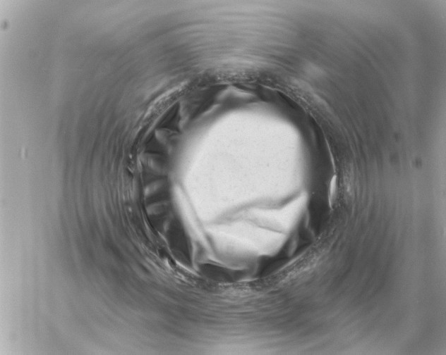 X0000058830964200510211951