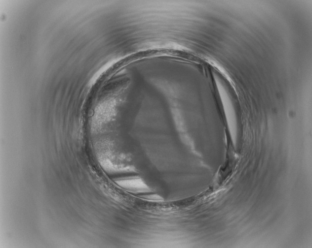 X0000058830975200510211950