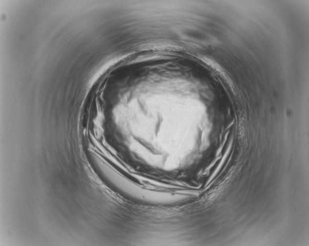 X0000058830983200510211950