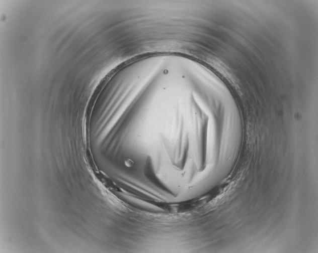 X0000058830988200510211950
