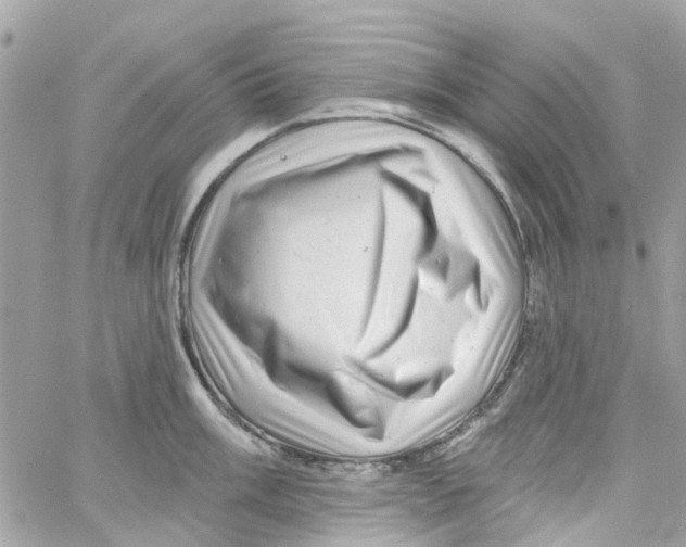 X0000058831003200510211950