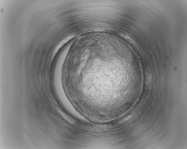 X0000058831026200510211949