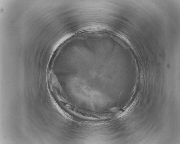 X0000058831034200510211949