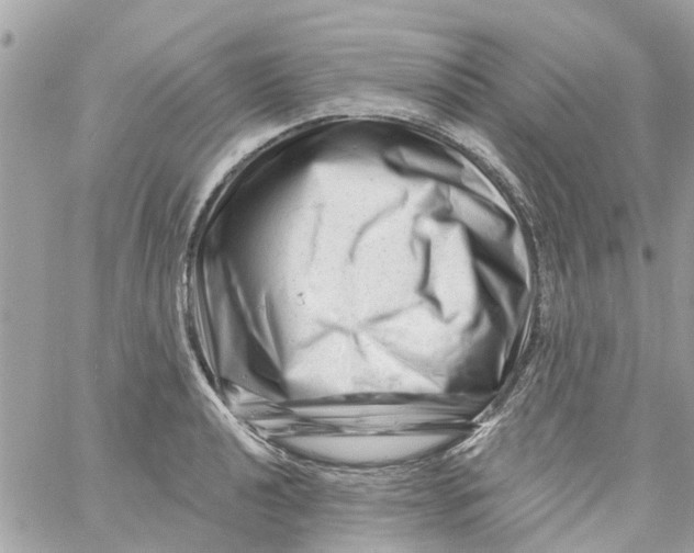 X0000058831040200510211950