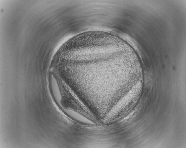 X0000058831048200510211950