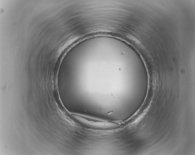 X0000058831113200510211948