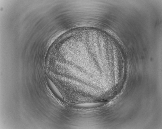 X0000058831121200510211948