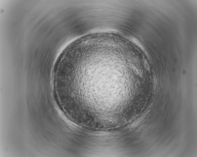 X0000058831124200510211948