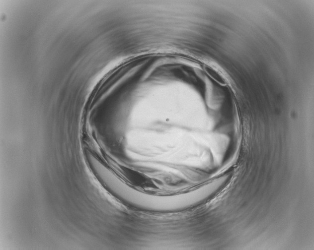 X0000058831142200510211948