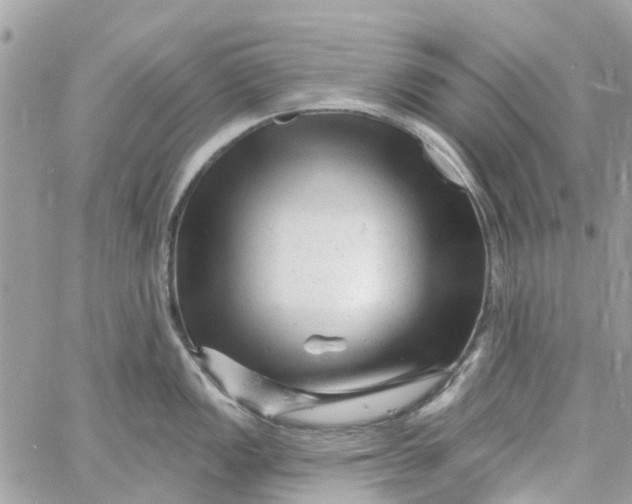 X0000058831149200510211948