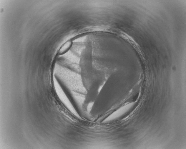 X0000058831174200510211947