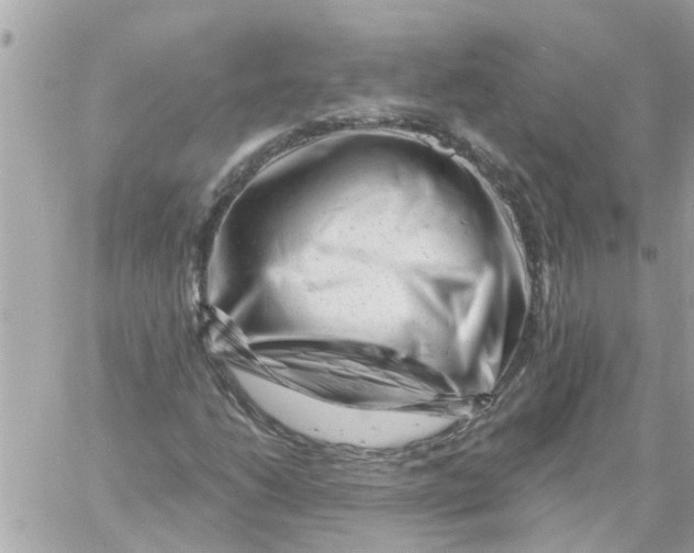 X0000058831206200510211946