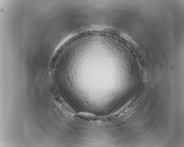 X0000058831208200510211946