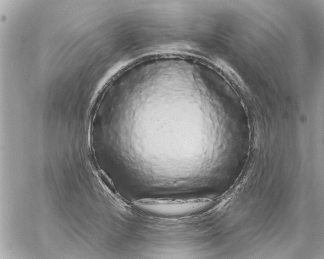X0000058831224200510211946