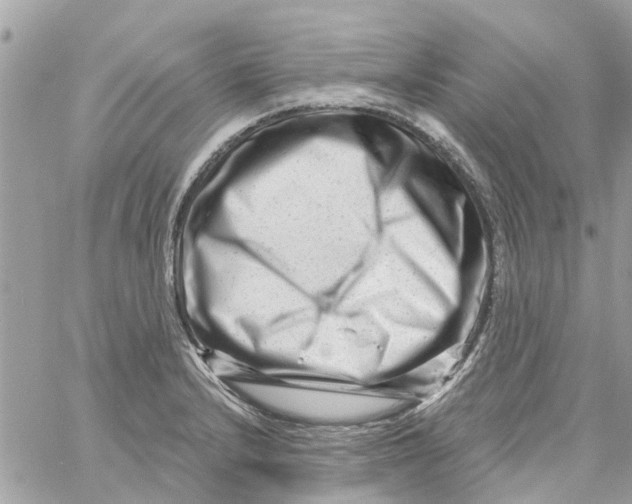 X0000058831232200510211946