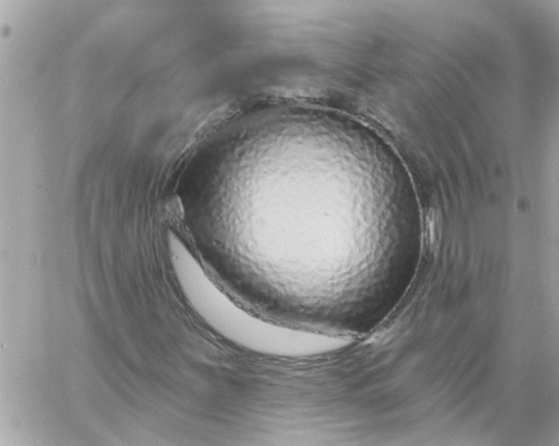 X0000058831251200510211946