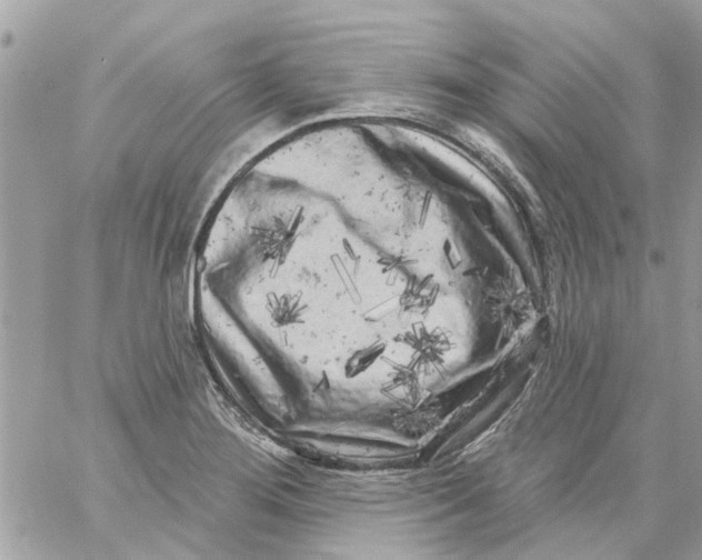 X0000058831276200510211945