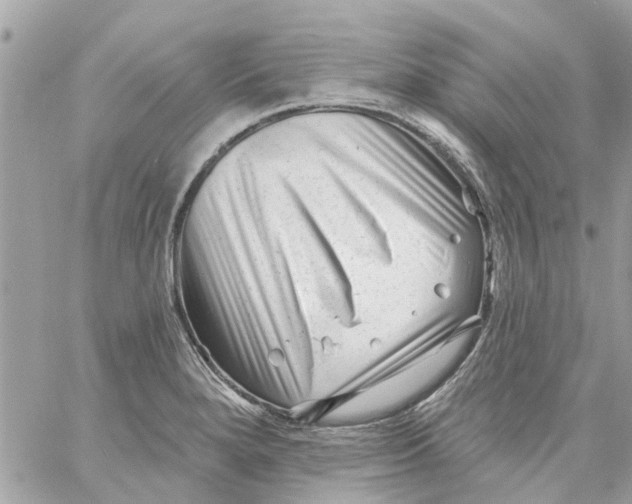 X0000058831280200510211945