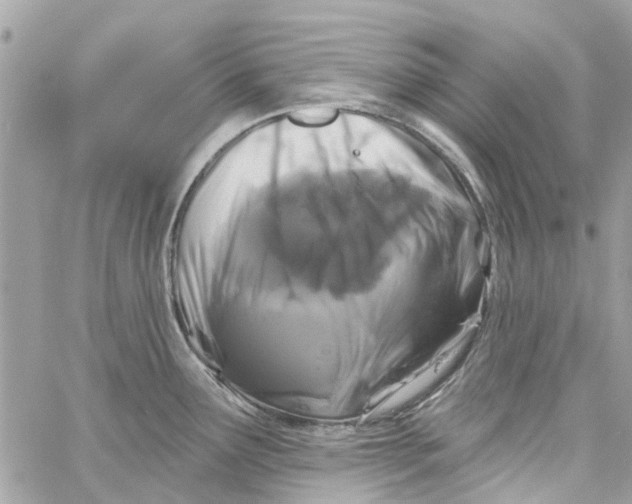 X0000058831291200510211945