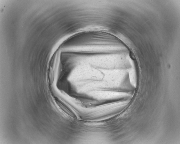 X0000058831296200510211945