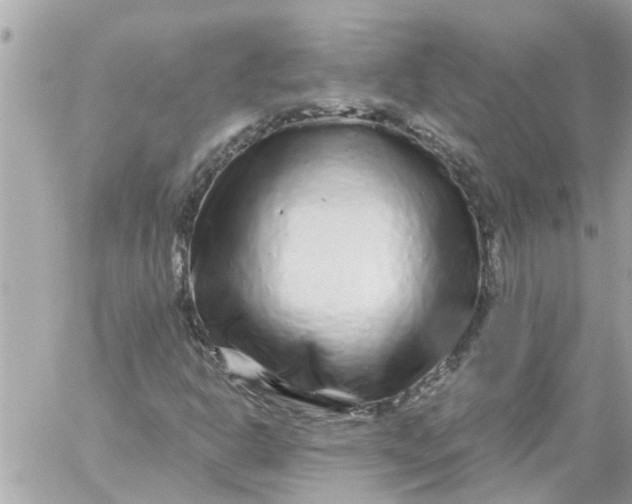 X0000058831302200510211944