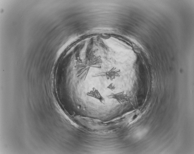 X0000058831325200510211945