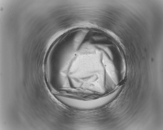 X0000058831335200510211945
