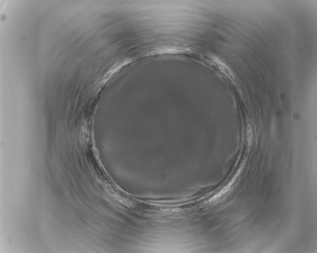 X0000058831353200510211944