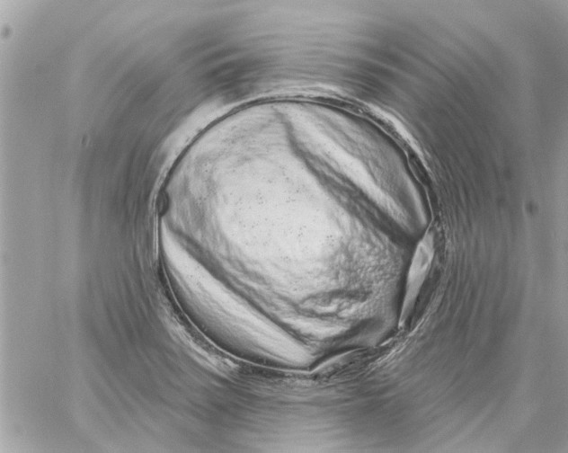 X0000058831371200510211944
