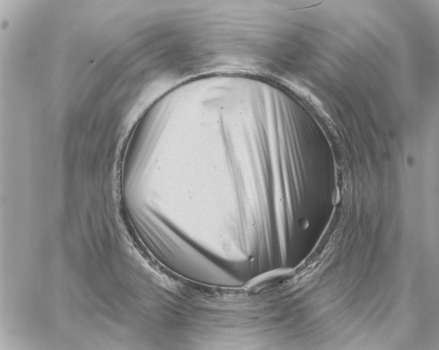 X0000058831375200510211944