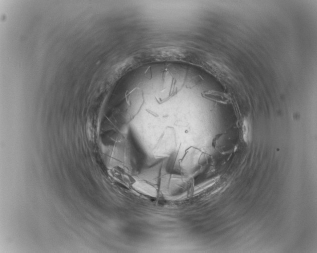 X0000058831395200510211943