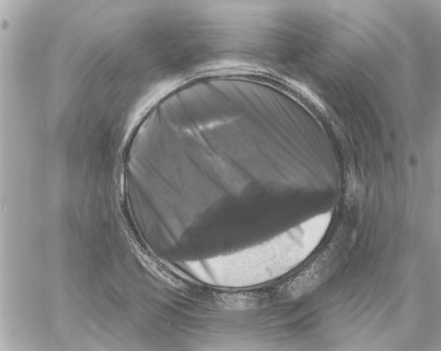 X0000058831413200510211943