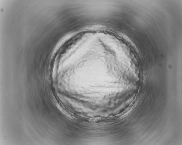 X0000058831421200510211943