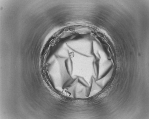 X0000058831424200510211943
