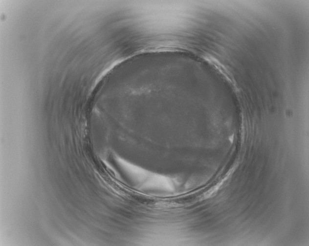 X0000058831449200510211943