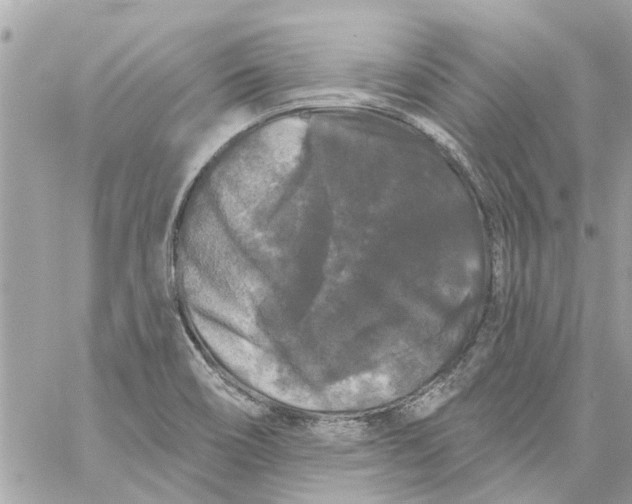 X0000058831466200510211942