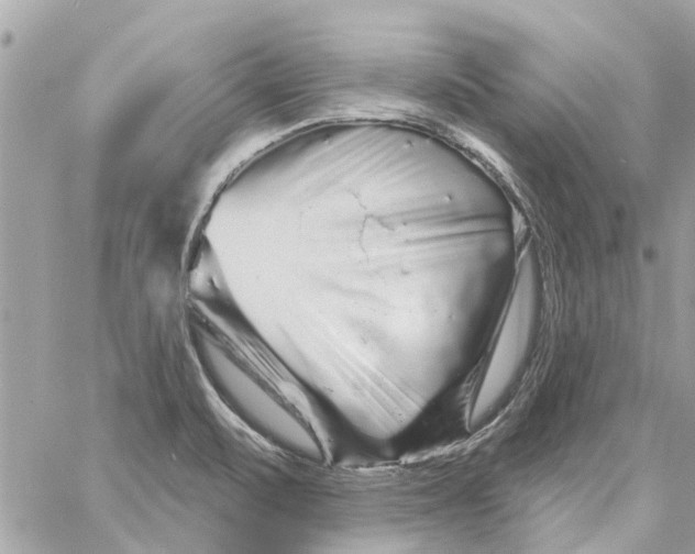 X0000058831471200510211942